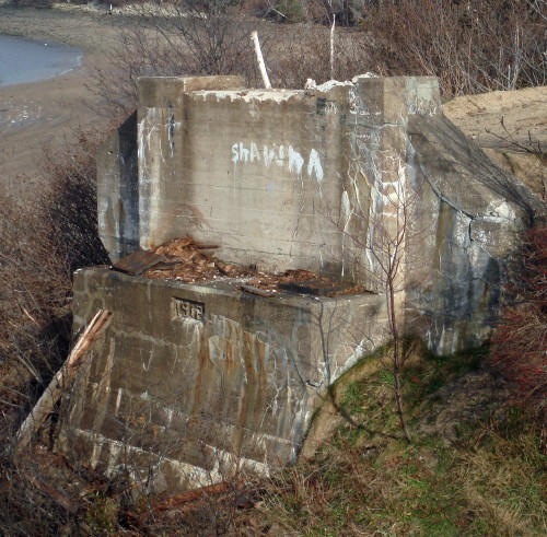Dominion Atlantic Railway: Bear River Bridge, Digby County, Nova Scotia, 05 Dec 2011