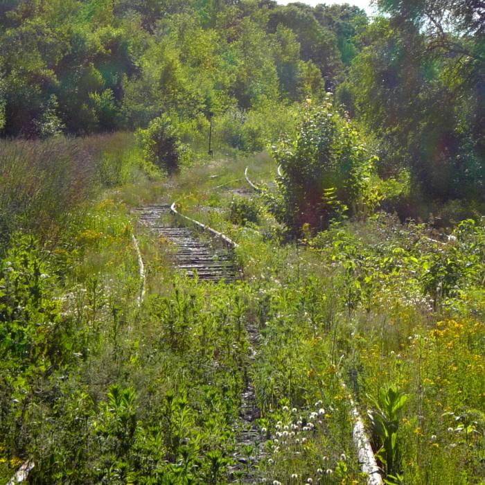W&HR: Train to New Minas, 27 June 2007, epilogue