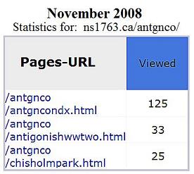 Antigonish County monuments website: traffic statistics, Nov. 2008