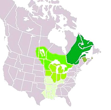 Map: New France c. 1750 with provinces marked in shades of green