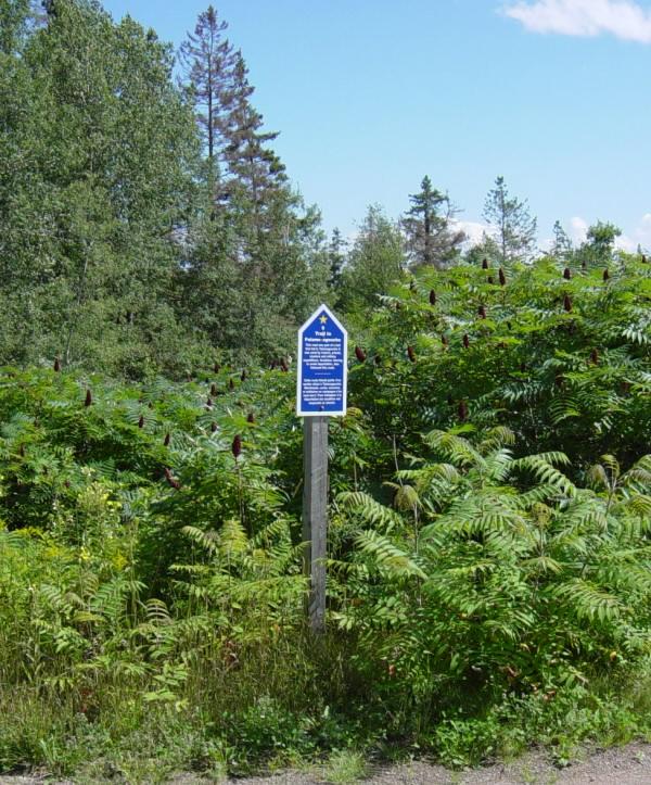 Colchester County: Acadian Heritage sign #9, Belmont