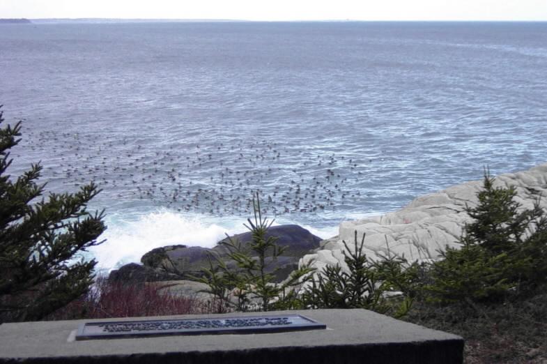 Tribune Head, looking out to sea