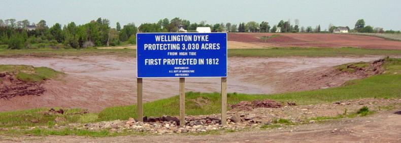 Wellington Dyke at low tide