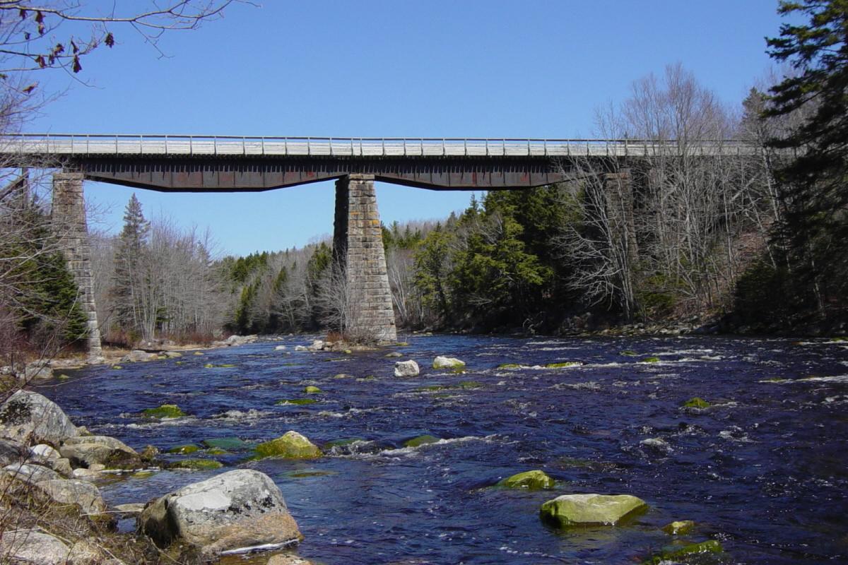 Gold River Bridge, with deck and handrail by Military Engineers