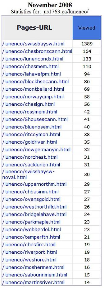 Lunenburg County monuments website: traffic statistics, Nov. 2008