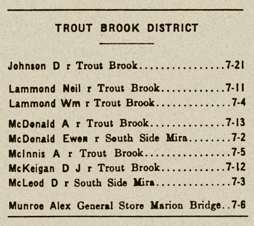 Nova Scotia: Trout Brook Mutual Telephone Company directory, 1928